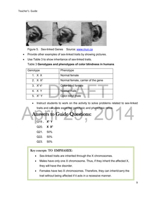 DRAFT
April 29, 2014
Teacher’s Guide
9
Figure 5. Sex-linked Genes Source: www.mun.ca
 Provide other examples of sex-linked traits by showing pictures.
 Use Table 3 to show inheritance of sex-linked traits.
Table 3 Genotypes and phenotypes of color blindness in humans
 Instruct students to work on the activity to solve problems related to sex-linked
traits and calculate expected genotypic and phenotypic ratios.
Answers to Guide Questions:
Q19 . XC
Y
Q20. X XC
Q21. 50%
Q22. 50%
Q23. 50%
Genotype Phenotype
1. X X Normal female
2. X XC
Normal female, carrier of the gene
3. XC
XC
Color-blind female
4. X Y Normal male
5. XC
Y Color-blind male
Key concepts TO EMPHASIZE:
 Sex-linked traits are inherited through the X chromosomes.
 Males have only one X chromosome. Thus, if they inherit the affected X,
they will have the disorder.
 Females have two X chromosomes. Therefore, they can inherit/carry the
trait without being affected if it acts in a recessive manner.
 