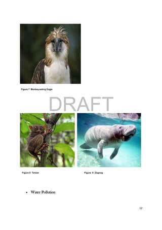 DRAFT
April 29, 2014
12
 Water Pollution
Figure 7 Monkey-eating Eagle
Figure 8 Tarsier Figure 9 Dugong
 