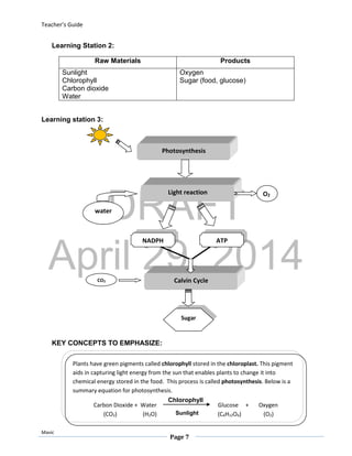 DRAFT
April 29, 2014
Teacher’s Guide
Mavic
Page 7
Learning Station 2:
Raw Materials Products
Sunlight
Chlorophyll
Carbon dioxide
Water
Oxygen
Sugar (food, glucose)
Learning station 3:
KEY CONCEPTS TO EMPHASIZE:
Photosynthesis
Light reaction
water
NADPH ATP
Calvin Cycle
O2
Sugar
CO2
Plants have green pigments called chlorophyll stored in the chloroplast. This pigment
aids in capturing light energy from the sun that enables plants to change it into
chemical energy stored in the food. This process is called photosynthesis. Below is a
summary equation for photosynthesis.
Carbon Dioxide + Water Glucose + Oxygen
(CO2) (H2O) (C6H12O6) (O2)
Chlorophyll
Sunlight
 