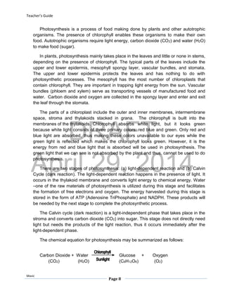 DRAFT
April 29, 2014
Teacher’s Guide
Mavic
Page 8
Photosynthesis is a process of food making done by plants and other autotrophic
organisms. The presence of chlorophyll enables these organisms to make their own
food. Autotrophic organisms require light energy, carbon dioxide (CO2) and water (H2O)
to make food (sugar).
In plants, photosynthesis mainly takes place in the leaves and little or none in stems,
depending on the presence of chlorophyll. The typical parts of the leaves include the
upper and lower epidermis, mesophyll spongy layer, vascular bundles, and stomata.
The upper and lower epidermis protects the leaves and has nothing to do with
photosynthetic processes. The mesophyll has the most number of chloroplasts that
contain chlorophyll. They are important in trapping light energy from the sun. Vascular
bundles (phloem and xylem) serve as transporting vessels of manufactured food and
water. Carbon dioxide and oxygen are collected in the spongy layer and enter and exit
the leaf through the stomata.
The parts of a chloroplast include the outer and inner membranes, intermembrane
space, stroma and thylakoids stacked in grana. The chlorophyll is built into the
membranes of the thylakoids. Chlorophyll absorbs white light, but it looks green
because white light consists of three primary colors: red blue and green. Only red and
blue light are absorbed, thus making these colors unavailable to our eyes while the
green light is reflected which makes the chlorophyll looks green. However, it is the
energy from red and blue light that is absorbed will be used in photosynthesis. The
green light that we can see is not absorbed by the plant and thus, cannot be used to do
photosynthesis.
There are two stages of photosynthesis: (a) light-dependent reaction and (b) Calvin
Cycle (dark reaction). The light-dependent reaction happens in the presence of light. It
occurs in the thylakoid membrane and converts light energy to chemical energy. Water
–one of the raw materials of photosynthesis is utilized during this stage and facilitates
the formation of free electrons and oxygen. The energy harvested during this stage is
stored in the form of ATP (Adenosine TriPhosphate) and NADPH. These products will
be needed by the next stage to complete the photosynthetic process.
The Calvin cycle (dark reaction) is a light-independent phase that takes place in the
stroma and converts carbon dioxide (CO2) into sugar. This stage does not directly need
light but needs the products of the light reaction, thus it occurs immediately after the
light-dependent phase.
The chemical equation for photosynthesis may be summarized as follows:
Carbon Dioxide + Water Glucose + Oxygen
(CO2) (H2O) (C6H12O6) (O2)
 