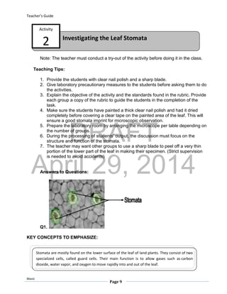 DRAFT
April 29, 2014
Teacher’s Guide
Mavic
Page 9
Investigating the Leaf Stomata
Activity
2
Note: The teacher must conduct a try-out of the activity before doing it in the class.
Teaching Tips:
1. Provide the students with clear nail polish and a sharp blade.
2. Give laboratory precautionary measures to the students before asking them to do
the activities.
3. Explain the objective of the activity and the standards found in the rubric. Provide
each group a copy of the rubric to guide the students in the completion of the
task.
4. Make sure the students have painted a thick clear nail polish and had it dried
completely before covering a clear tape on the painted area of the leaf. This will
ensure a good stomata imprint for microscopic observation.
5. Prepare the laboratory room by arranging the microscope per table depending on
the number of groups.
6. During the processing of students’ output, the discussion must focus on the
structure and function of the stomata.
7. The teacher may want other groups to use a sharp blade to peel off a very thin
portion of the lower part of the leaf in making their specimen. (Strict supervision
is needed to avoid accidents)
Answers to Questions:
Q1.
KEY CONCEPTS TO EMPHASIZE:
Stomata are mostly found on the lower surface of the leaf of land plants. They consist of two
specialized cells, called guard cells. Their main function is to allow gases such as carbon
dioxide, water vapor, and oxygen to move rapidly into and out of the leaf.
 