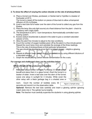 DRAFT
April 29, 2014
Teacher’s Guide
Mavic Page
12
Figure 1: Sample setup
2. To show the effect of varying the carbon dioxide on the rate of photosynthesis
A. Place a funnel over Elodea, pondweed, or Santan leaf or Hydrilla in a beaker of
freshwater at 25°C.
The funnel is raised off the bottom on pieces of blue-tack to allow unhampered
diffusion of CO2 to Elodea.
B. Invert a test tube full of water over the stem of the funnel to collect any gas from the
Elodea.
C. Place the lamp (the only light source) at a fixed distance from the plant - check its
constancy with a light meter.
D. The temperature is 20°C - room temperature; thermostatically controlled room-
heating system.
E. Excess sodium bicarbonate is placed in the water to give a constant saturated
solution of CO2.
F. Allow the plant five minutes to adjust to the new conditions.
G. Count the number of oxygen bubbles given off by the plant in a five-minute period.
Repeat the count twice more and calculate the average of the three readings.
This is the rate of photosynthesis at that particular temperature.
The gas should be checked to prove that it is indeed oxygen - relights a glowing
splint.
H. Repeat at different lower carbon dioxide concentrations by using different dilutions of
a saturated solution.
I. Graph the results placing carbon dioxide concentration on the x-axis.
For average and challenged class use the activities below:
Effect of Light on the production of bubbles
Make two setups similar to Figure 1. Take a 2-3 small santan
leaves and place them in a glass funnel; invert the funnel in a
beaker of water. Invert a test tube over the stem of the funnel.
Leave one setup in sunlight for 3 minutes. While cover the
other setup with a black garbage bag in a shaded area or
room. Count the number of bubbles every 30
seconds and record it on the observation table.
Optional: Remove the test tube carefully and insert a glowing splinter (glowing
match stick) into it. The splinter burns brightly.
Note: The teacher must carefully supervise the students in using glowing splinter.
 