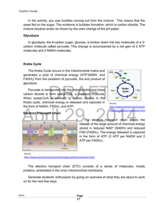 DRAFT
April 29, 2014
Teacher’s Guide
Mavic Page
17
Source:
http://www.hartnell.edu/tutorials/biology/cellularrespiration.html
In the activity, you saw bubbles coming out from the mixture. This means that the
yeast fed on the sugar. The evidence is bubbles formation, which is carbon dioxide. The
mixture became acidic as shown by the color change of the pH paper.
Glycolysis
In glycolysis, the 6-carbon sugar, glucose, is broken down into two molecules of a 3-
carbon molecule called pyruvate. This change is accompanied by a net gain of 2 ATP
molecules and 2 NADH molecules.
Krebs Cycle
The Krebs Cycle occurs in the mitochondrial matrix and
generates a pool of chemical energy (ATP,NADH, and
FADH2) from the oxidation of pyruvate, the end product of
glycolysis.
Pyruvate is transported into the mitochondria and loses
carbon dioxide to form acetyl-CoA, a 2-carbon molecule.
When acetyl-CoA is oxidized to carbon dioxide in the
Krebs cycle, chemical energy is released and captured in
the form of NADH, FADH2, and ATP.
Electron Transport Chain
The electron transport chain allows the
release of the large amount of chemical energy
stored in reduced NAD+ (NADH) and reduced
FAD (FADH2). The energy released is captured
in the form of ATP (3 ATP per NADH and 2
ATP per FADH2).
The electron transport chain (ETC) consists of a series of molecules, mostly
proteins, embedded in the inner mitochondrial membrane.
Generate students’ enthusiasm by giving an overview of what they are about to work
on for the next few days.
Source:
http://www.hartnell.edu/tutorial
s/biology/cellularrespiration.html
 
