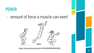 POWER
amount of force a muscle can exert.
25
https://www.pinterest.ph/pin/473440979559502293/
 