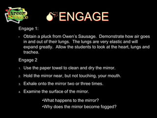 ENGAGE
Engage 1:
• Obtain a pluck from Owen’s Sausage. Demonstrate how air goes
in and out of their lungs. The lungs are very elastic and will
expand greatly. Allow the students to look at the heart, lungs and
trachea.
Engage 2
1. Use the paper towel to clean and dry the mirror.
2. Hold the mirror near, but not touching, your mouth.
3. Exhale onto the mirror two or three times.
4. Examine the surface of the mirror.
•What happens to the mirror?
•Why does the mirror become fogged?
 
