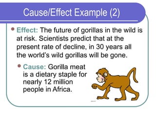 Cause/Effect Example (2)
Effect: The future of gorillas in the wild is
at risk. Scientists predict that at the
present rate of decline, in 30 years all
the world’s wild gorillas will be gone.
Cause: Gorilla meat
is a dietary staple for
nearly 12 million
people in Africa.
 