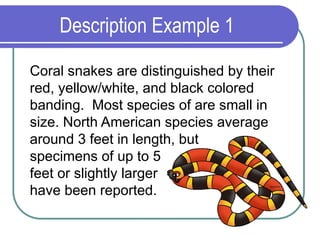 Description Example 1
Coral snakes are distinguished by their
red, yellow/white, and black colored
banding. Most species of are small in
size. North American species average
around 3 feet in length, but
specimens of up to 5
feet or slightly larger
have been reported.
 