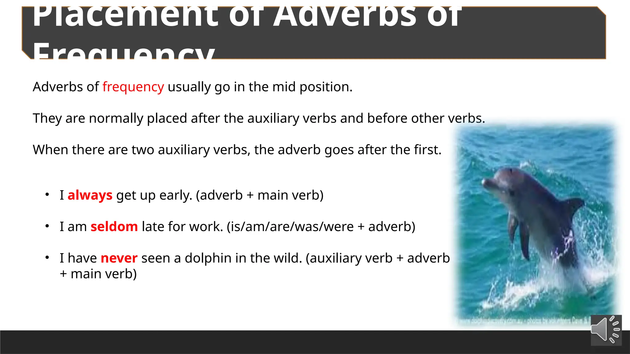 Grade 9 Unit 7 Adverbs for english esl students | PPTX