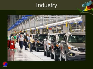 Industry
 