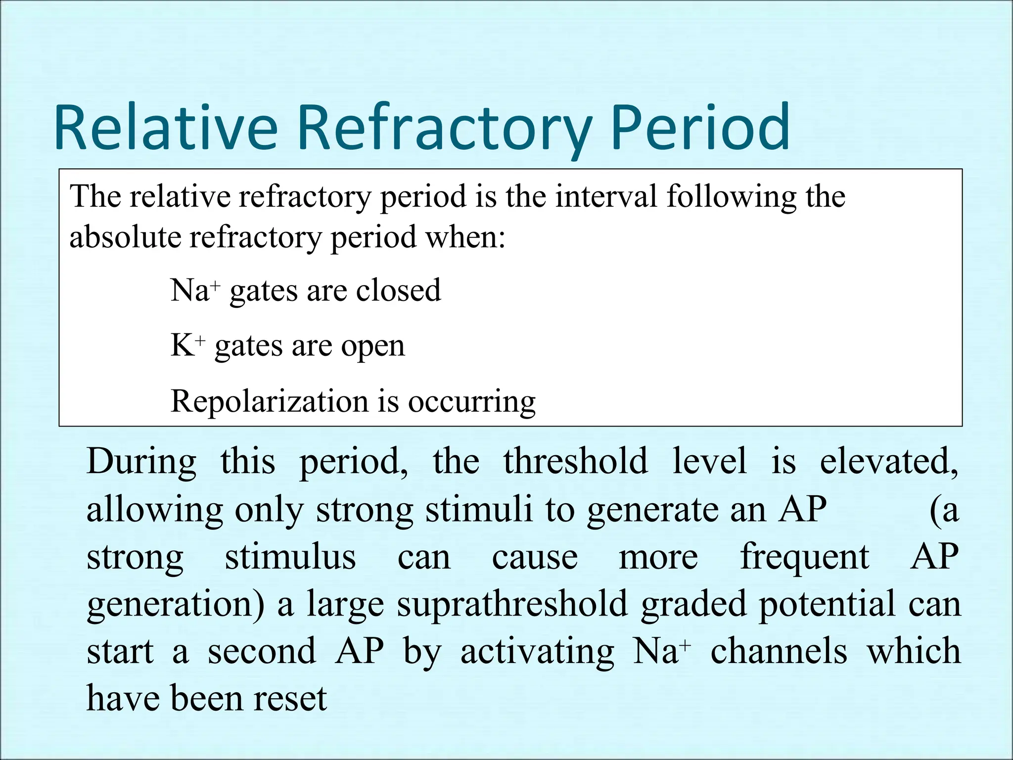 Relative Refractory Period
The relative refractory period is the interval following the
absolute refractory period when:
Na+ gates are closed
K+ gates are open
Repolarization is occurring
During this period, the threshold level is elevated,
allowing only strong stimuli to generate an AP (a
strong stimulus can cause more frequent AP
generation) a large suprathreshold graded potential can
start a second AP by activating Na+ channels which
have been reset
 