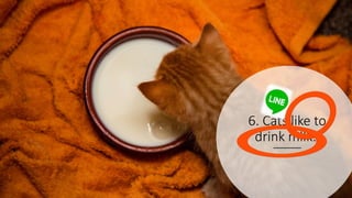 6. Cats like to
drink milk.
 