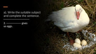 a). Write the suitable subject
and complete the sentence.
2. ----------------- gives
us eggs.
 