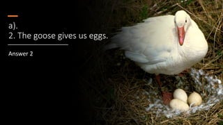 a).
2. The goose gives us eggs.
Answer 2
 