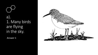 a).
1. Many birds
are flying
in the sky.
Answer 1
 