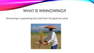 Winnow Out Ways of Separating Mixtures | PPTX