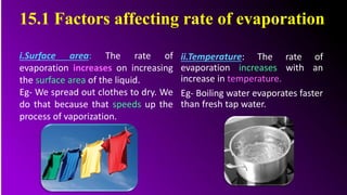 ii.Temperature: The rate of
evaporation increases with an
increase in temperature.
Eg- Boiling water evaporates faster
than fresh tap water.
15.1 Factors affecting rate of evaporation
i.Surface area: The rate of
evaporation increases on increasing
the surface area of the liquid.
Eg- We spread out clothes to dry. We
do that because that speeds up the
process of vaporization.
 