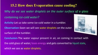 Why do we see water droplets on the outer surface of a glass
containing ice-cold water?
Activity-Let us take some ice-cold water in a tumbler.
Observation-Soon we will see water droplets on the outer
surface of the tumbler.
Conclusion-The water vapour present in air, on coming in contact with
the cold glass of water, loses energy and gets converted to liquid state,
which we see as water droplets.
15.2 How does Evaporation cause cooling?
 
