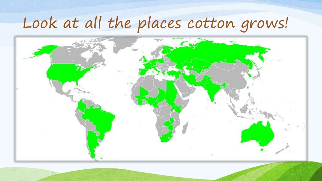 The Life Cycle of Cotton