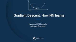 Gradient Descent. How NN learns
by Anatolii Shkurpylo,
Software Developer
 