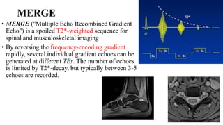 MERGE
• MERGE ("Multiple Echo Recombined Gradient
Echo") is a spoiled T2*-weighted sequence for
spinal and musculoskeletal imaging
• By reversing the frequency-encoding gradient
rapidly, several individual gradient echoes can be
generated at different TEs. The number of echoes
is limited by T2*-decay, but typically between 3-5
echoes are recorded.
 