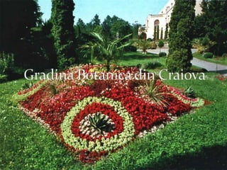Gradina Botanica din Craiova 