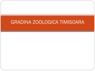 GRADINA ZOOLOGICA TIMISOARA 