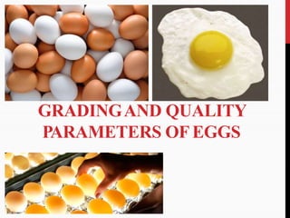 GRADINGAND QUALITY
PARAMETERS OF EGGS
 