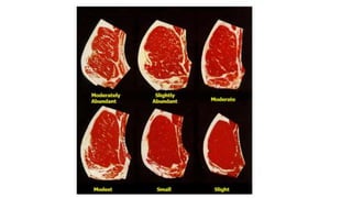 Grading judging and fabrication of meat carcass | PPTX