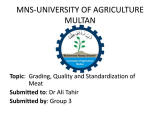 MNS-UNIVERSITY OF AGRICULTURE
MULTAN
Topic: Grading, Quality and Standardization of
Meat
Submitted to: Dr Ali Tahir
Submitted by: Group 3
 