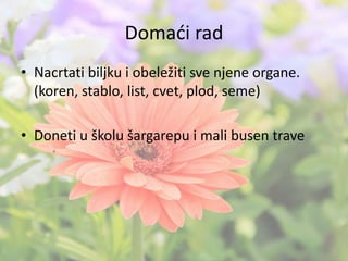 Domaći rad
• Nacrtati biljku i obeležiti sve njene organe.
(koren, stablo, list, cvet, plod, seme)
• Doneti u školu šargarepu i mali busen trave
 