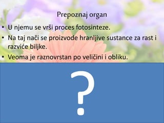 • U njemu se vrši proces fotosinteze.
• Na taj nači se proizvode hranljive sustance za rast i
razviće biljke.
• Veoma je raznovrstan po veličini i obliku.
Prepoznajorgan
 