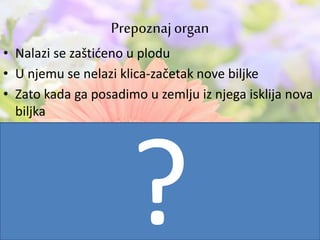 • Nalazi se zaštićeno u plodu
• U njemu se nelazi klica-začetak nove biljke
• Zato kada ga posadimo u zemlju iz njega isklija nova
biljka
Prepoznajorgan
 