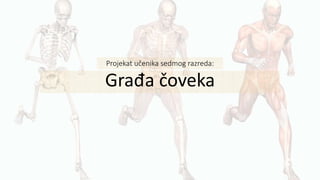 Projekat učenika sedmog razreda:
Građa čoveka
 