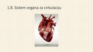 1.8. Sistem organa za cirkulaciju
 
