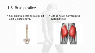 1.5. Brze pitalice
• Koji skeletni organ se sastoji od
33 ili 34 pršljenova?
• Gde se nalazi najveći mišić
ljudskog tela?
 