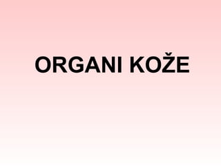 ORGANI KOŽE

 