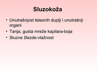Sluzokoža
• Unutrašnjost telesnih duplji i unutrašnji
organi
• Tanja, gusta mreže kapilara-boja
• Sluzne žlezde-vlažnost

 