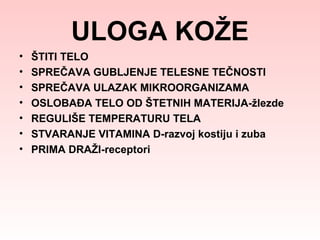 ULOGA KOŽE
•
•
•
•
•
•
•

ŠTITI TELO
SPREČAVA GUBLJENJE TELESNE TEČNOSTI
SPREČAVA ULAZAK MIKROORGANIZAMA
OSLOBAĐA TELO OD ŠTETNIH MATERIJA-žlezde
REGULIŠE TEMPERATURU TELA
STVARANJE VITAMINA D-razvoj kostiju i zuba
PRIMA DRAŽI-receptori

 