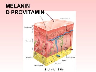 MELANIN
D PROVITAMIN

 