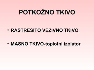POTKOŽNO TKIVO
• RASTRESITO VEZIVNO TKIVO
• MASNO TKIVO-toplotni izolator

 
