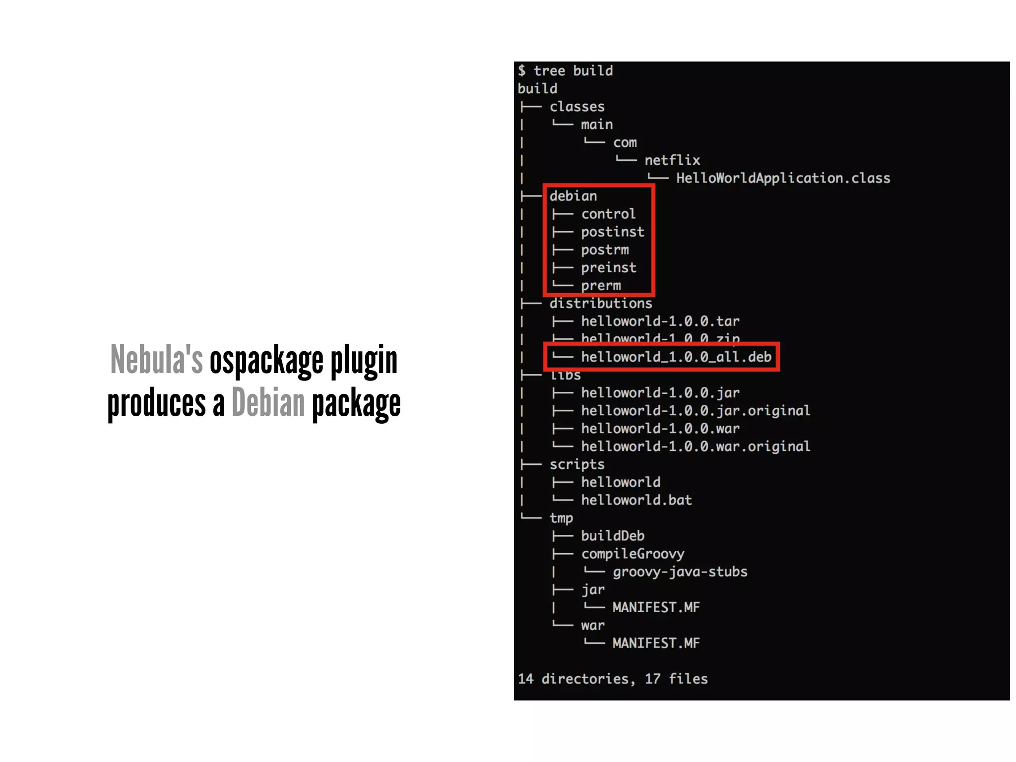 Nebula's ospackage plugin
produces a Debian package
 