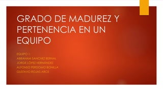 GRADO DE MADUREZ Y
PERTENENCIA EN UN
EQUIPO
EQUIPO 1:
ABRAHAM SANCHEZ BERNAL
JORGE LÓPEZ HERNÁNDEZ
ALFONSO PERDOMO BONILLA
GUSTAVO ROJAS ARCE
 