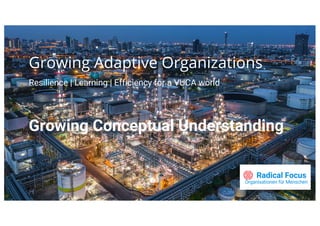 Growing Adaptive Organizations
Resilience | Learning | Efficiency for a VUCA world
Organisationen für Menschen
Growing Conceptual Understanding
 