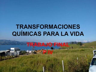 TRANSFORMACIONES
QUÍMICAS PARA LA VIDA
TRABAJO FINAL
P IV
 