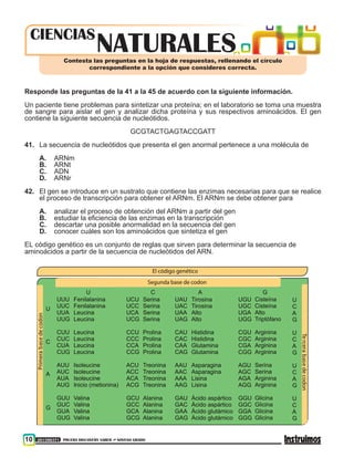 10 201500371 PRUEBA DISCOVERY SABER ••• NOVENO GRADO
NATURALESCIENCIAS
Contesta las preguntas en la hoja de respuestas, rellenando el círculo
correspondiente a la opción que consideres correcta.
Responde las preguntas de la 41 a la 45 de acuerdo con la siguiente información.
Un paciente tiene problemas para sintetizar una proteína; en el laboratorio se toma una muestra
de sangre para aislar el gen y analizar dicha proteína y sus respectivos aminoácidos. El gen
contiene la siguiente secuencia de nucleótidos.
GCGTACTGAGTACCGATT
41.	 La secuencia de nucleótidos que presenta el gen anormal pertenece a una molécula de
A.	 ARNm
B.	 ARNt
C.	 ADN
D.	 ARNr
42.	 El gen se introduce en un sustrato que contiene las enzimas necesarias para que se realice
el proceso de transcripción para obtener el ARNm. El ARNm se debe obtener para
A.	 analizar el proceso de obtención del ARNm a partir del gen
B.	 estudiar la eficiencia de las enzimas en la transcripción
C.	 descartar una posible anormalidad en la secuencia del gen
D.	 conocer cuáles son los aminoácidos que sintetiza el gen
EL código genético es un conjunto de reglas que sirven para determinar la secuencia de
aminoácidos a partir de la secuencia de nucleótidos del ARN.
El código genético
Primerabasedecodon
Segunda base de codon
U C A G
U
C
A
G
U
C
A
G
U
C
A
G
U
C
A
G
U
C
A
G
UUU
UUC
UUA
UUG
CUU
CUC
CUA
CUG
AUU
AUC
AUA
AUG
GUU
GUC
GUA
GUG
Fenilalanina
Fenilalanina
Leucina
Leucina
Leucina
Leucina
Leucina
Leucina
Isoleucine
Isoleucine
Isoleucine
Inicio (metionina)
Valina
Valina
Valina
Valina
UCU
UCC
UCA
UCG
CCU
CCC
CCA
CCG
ACU
ACC
ACA
ACG
GCU
GCC
GCA
GCG
Serina
Serina
Serina
Serina
Prolina
Prolina
Prolina
Prolina
Treonina
Treonina
Treonina
Treonina
Alanina
Alanina
Alanina
Alanina
UAU
UAC
UAA
UAG
CAU
CAC
CAA
CAG
AAU
AAC
AAA
AAG
GAU
GAC
GAA
GAG
Tirosina
Tirosina
Alto
Alto
Histidina
Histidina
Glutamina
Glutamina
Asparagina
Asparagina
Lisina
Lisina
Ácido aspártico
Ácido aspártico
Ácido glutámico
Ácido glutámico
UGU
UGC
UGA
UGG
CGU
CGC
CGA
CGG
AGU
AGC
AGA
AGG
GGU
GGC
GGA
GGG
TercerabasedecodonCisteína
Cisteína
Alto
Triptófano
Arginina
Arginina
Arginina
Arginina
Serina
Serina
Arginina
Arginina
Glicina
Glicina
Glicina
Glicina
 