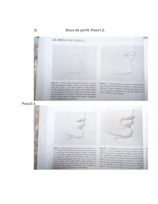 2) Boca de perfil: Paso1.2.
Paso3.4.
 