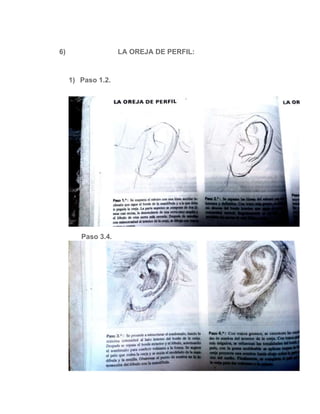 6) LA OREJA DE PERFIL:
1) Paso 1.2.
Paso 3.4.
 