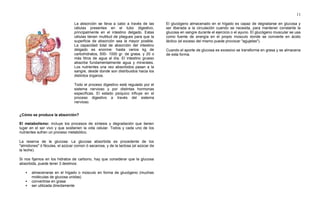 11
La absorción se lleva a cabo a través de las
células presentes en el tubo digestivo,
principalmente en el intestino delgado. Estas
células tienen multitud de pliegues para que la
superficie de absorción sea la mayor posible.
La capacidad total de absorción del intestino
delgado es enorme: hasta varios kg de
carbohidratos, 500- 1000 gr. de grasa, y 20 o
más litros de agua al día. El intestino grueso
absorbe fundamentalmente agua y minerales.
Los nutrientes una vez absorbidos pasan a la
sangre, desde donde son distribuidos hacia los
distintos órganos.
Todo el proceso digestivo está regulado por el
sistema nervioso y por distintas hormonas
específicas. El estado psíquico influye en el
proceso digestivo a través del sistema
nervioso.
¿Cómo se produce la absorción?
El metabolismo: incluye los procesos de síntesis y degradación que tienen
lugar en el ser vivo y que sostienen la vida celular. Todos y cada uno de los
nutrientes sufren un proceso metabólico.
La reserva de la glucosa: La glucosa absorbida es procedente de los
"almidones" ó féculas, el azúcar común ó sacarosa, y de la lactosa (el azúcar de
la leche).
Si nos fijamos en los hidratos de carbono, hay que considerar que la glucosa
absorbida, puede tener 3 destinos:
 almacenarse en el hígado o músculo en forma de glucógeno (muchas
moléculas de glucosa unidas)
 convertirse en grasa
 ser utilizada directamente
El glucógeno almacenado en el hígado es capaz de degradarse en glucosa y
ser liberada a la circulación cuando se necesita, para mantener constante la
glucosa en sangre durante el ejercicio o el ayuno. El glucógeno muscular se usa
como fuente de energía en el propio músculo donde se convierte en ácido
láctico (el exceso del mismo puede provocar "agujetas").
Cuando el aporte de glucosa es excesivo se transforma en grasa y se almacena
de esta forma.
 