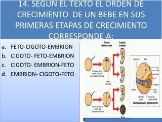 14. SEGÚN EL TEXTO EL ORDEN DE
CRECIMIENTO DE UN BEBE EN SUS
PRIMERAS ETAPAS DE CRECIMIENTO
CORRESPONDE A:
a. FETO-CIGOTO-EMBRION
b. CIGOTO- FETO-EMBRION
c. CIGOTO- EMBRION-FETO
d. EMBRION- CIGOTO-FETO
 