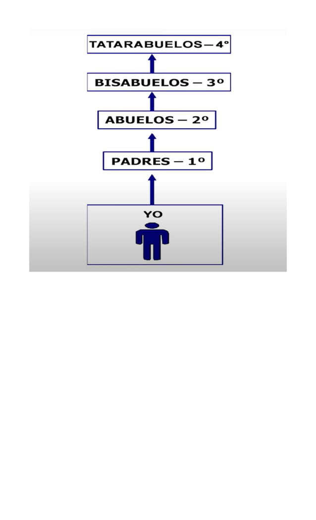 Grados de consanguinidad para los permisos de ley en el codigo laboral